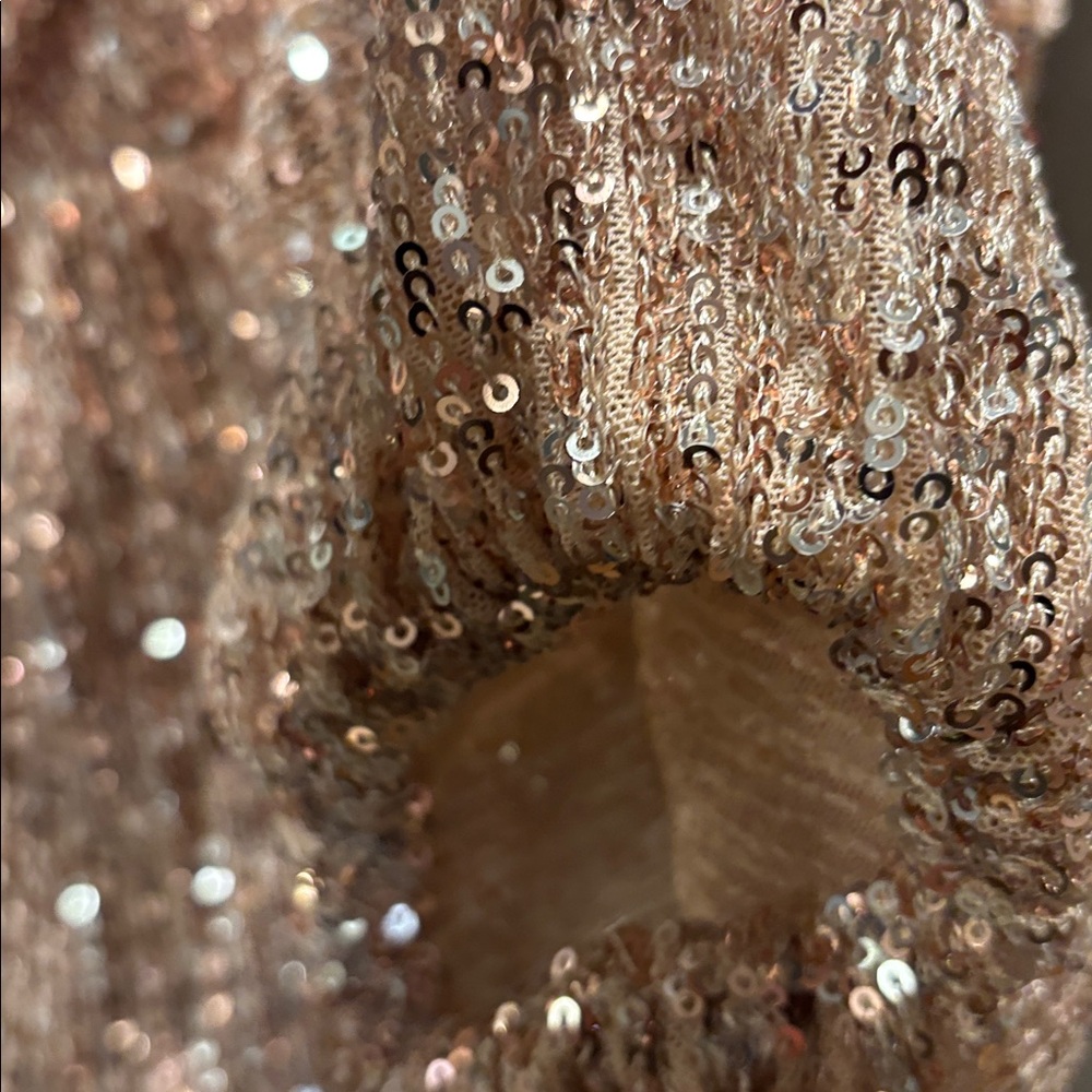 Endless Rose Sequin Blouse in Gold - Picture 7 of 7
